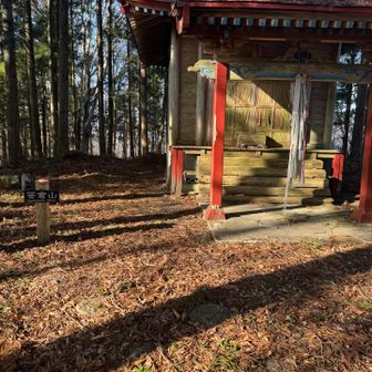 笹倉山山頂、きっと今日無事だったのは薬師如来様に普段から拝んでたお陰ですね