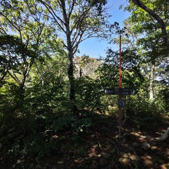 ここからは山頂まで登るだけ