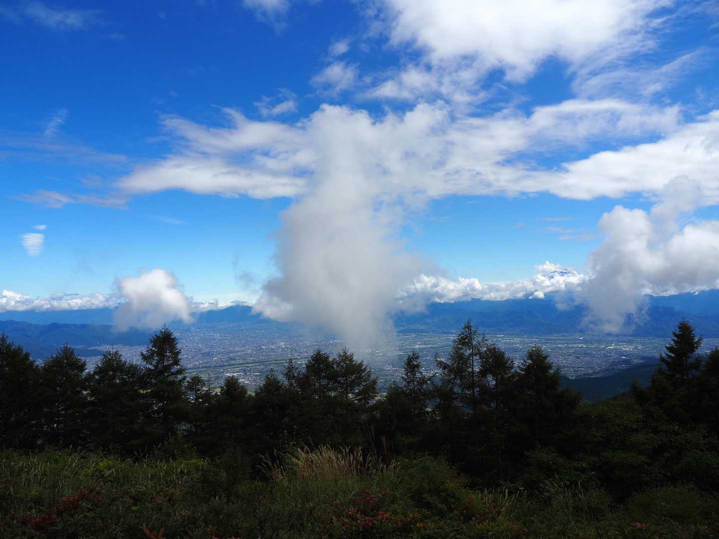 甘利山 | 駐車場から20分ほどで富士山の絶景へ。ツツジ群落も魅力の花の名山の写真