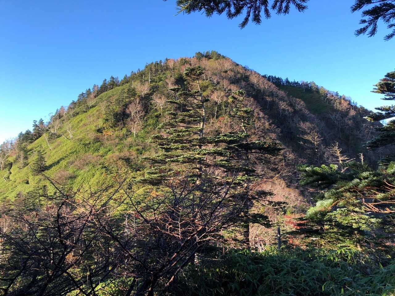 温泉ヶ岳の写真