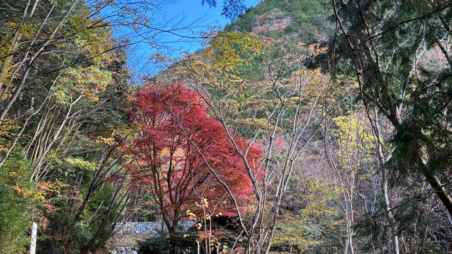 高賀山登山口-御坂峠-高賀山 往復コースの写真