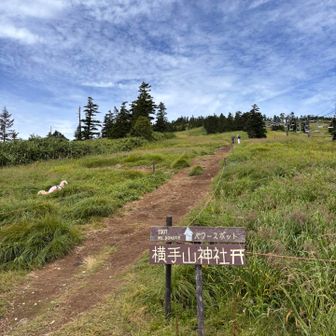 さあ山歩開始
