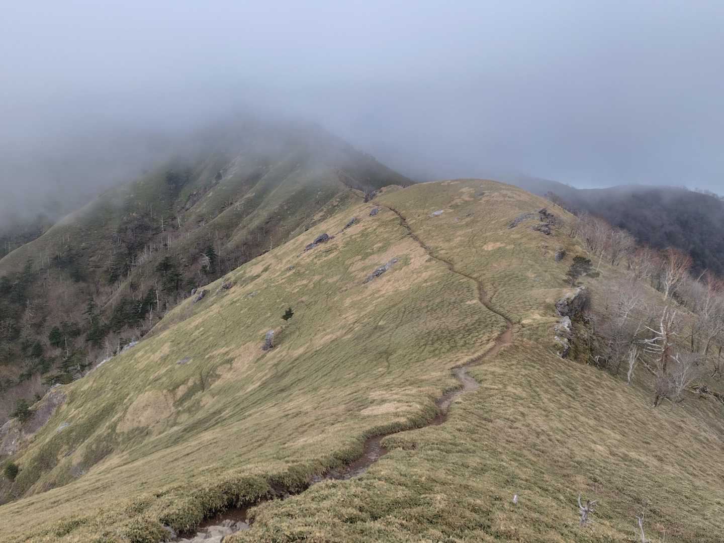剣山王道コース | 四国の空に浮かぶ稜線美を歩くの写真