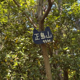 グレーピーク正島山
数分薮こぎでした💦