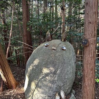 トトロ見つけた！会えたぁー🩷
