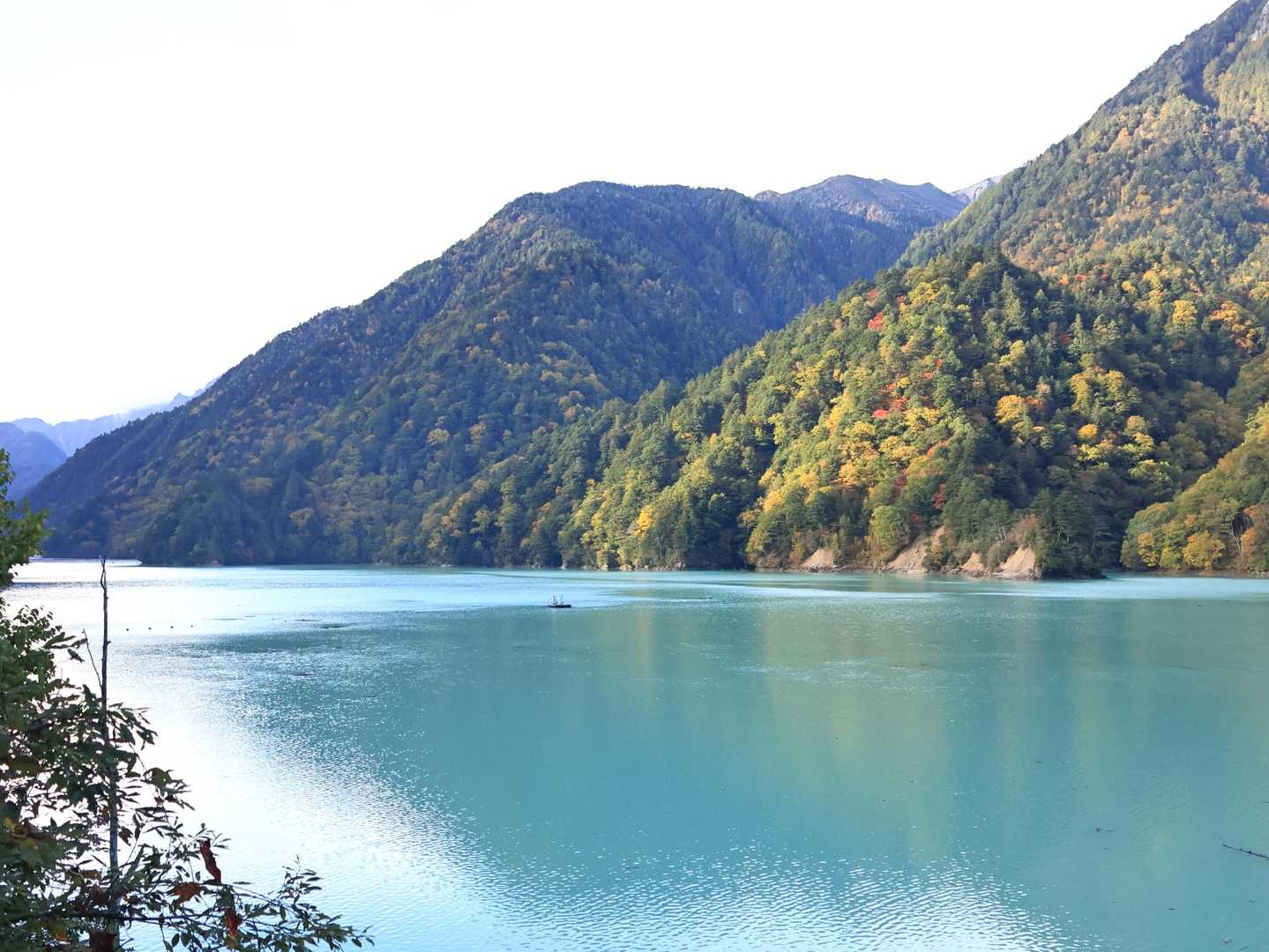 トンネルを抜けるとそこには…
おお！😆