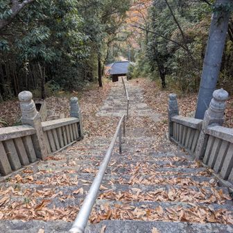 今回は下りで💦