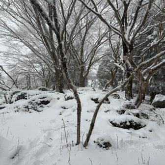 威徳山、登頂！山頂標識は見当たらず