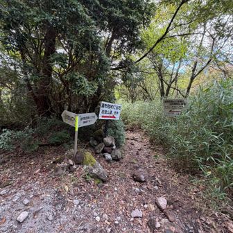 合野越の分岐↗️ 飯盛ケ城へ🐾

山頂からここまで
30人以上の登山者とすれ違った
⸝ဗီူ⸜⸝ဗီူ⸜⸝ဗီူ⸜

紅葉はまだなのに・・さすが人気の山♪