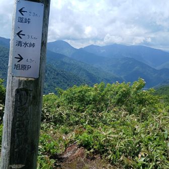 シシゴヤノ頭