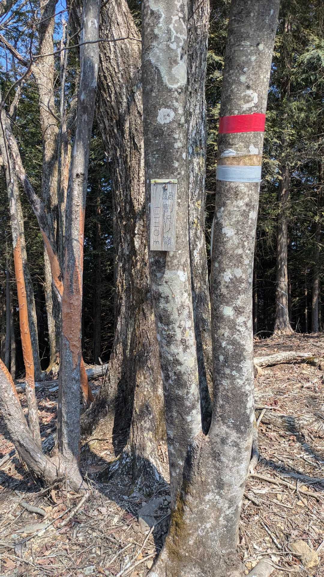 下山します。さっき気付かなかった鍋割沢の領
