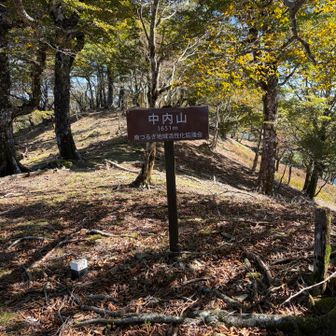 中内山⛰️ピーク
いい雰囲気😉