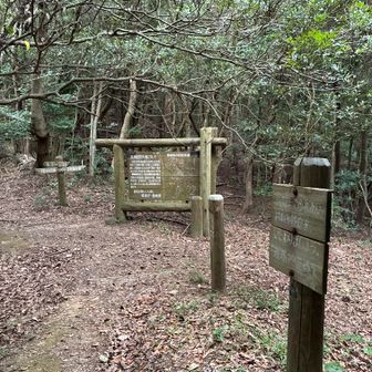 岩屋山・舞岳の分岐