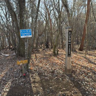 たいら山山頂