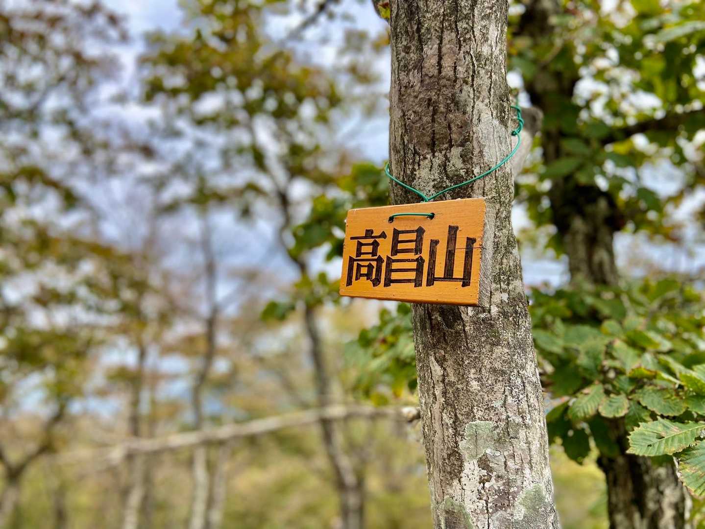 高昌山　ここまでは比較的分かりやすいルート
これから少し行った先から分かり難く、急登な箇所多数🤣