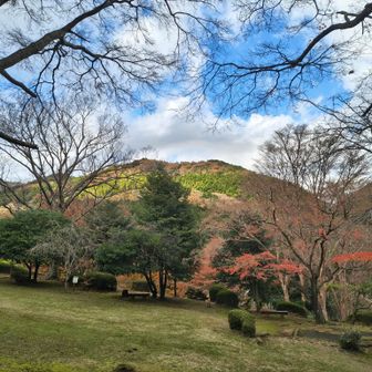 桜木が多くて春は混むのかしら