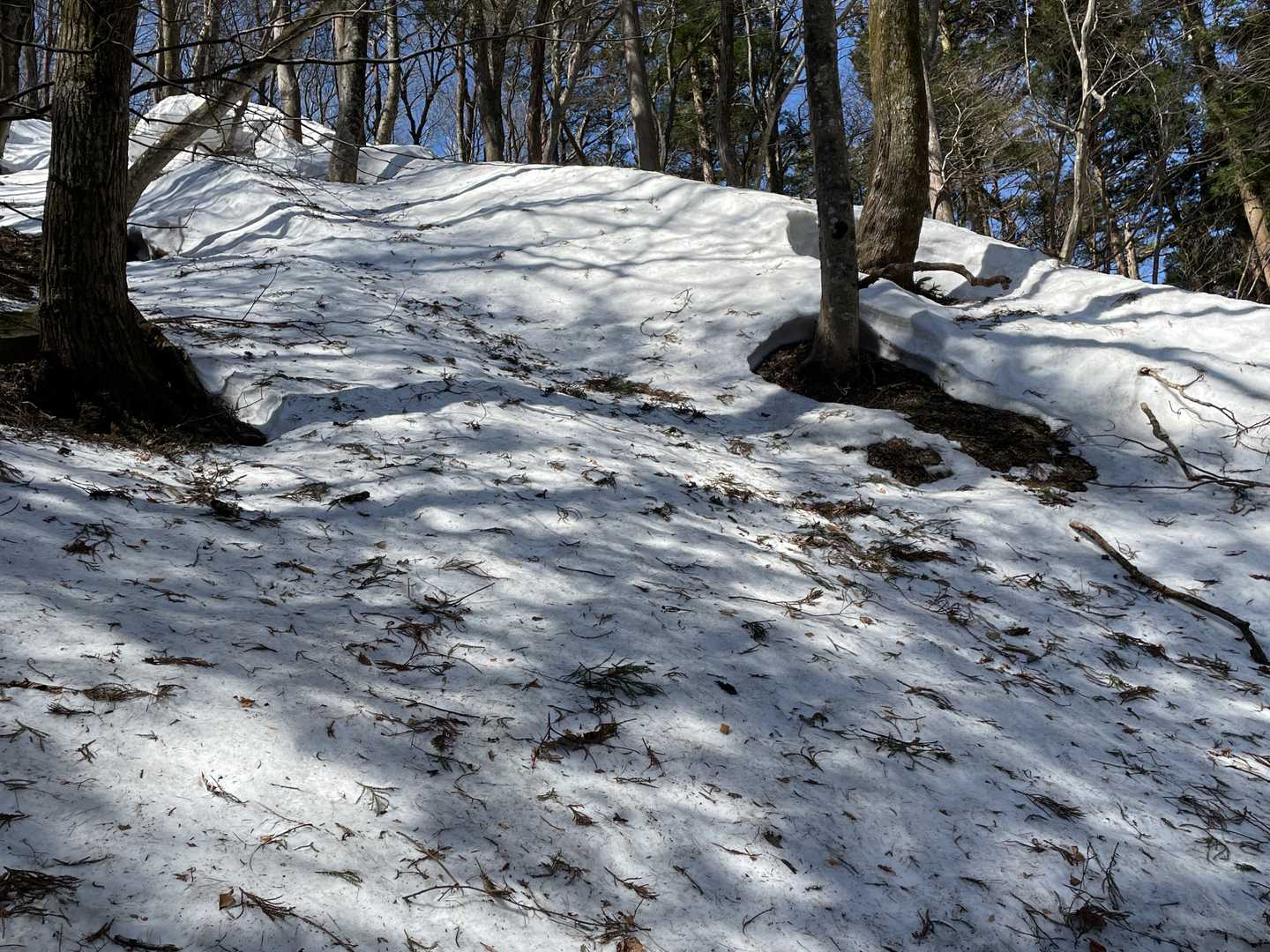 北側に回り込むとこんな雪渓、ヤバっ、ここをトラバースしないと先に行けない。滑り止めなんにも持って来てない・・・。もうすぐ馬の背分岐なのに。