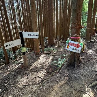 既コースの崩落部は迂回コースを設定し案内板あり