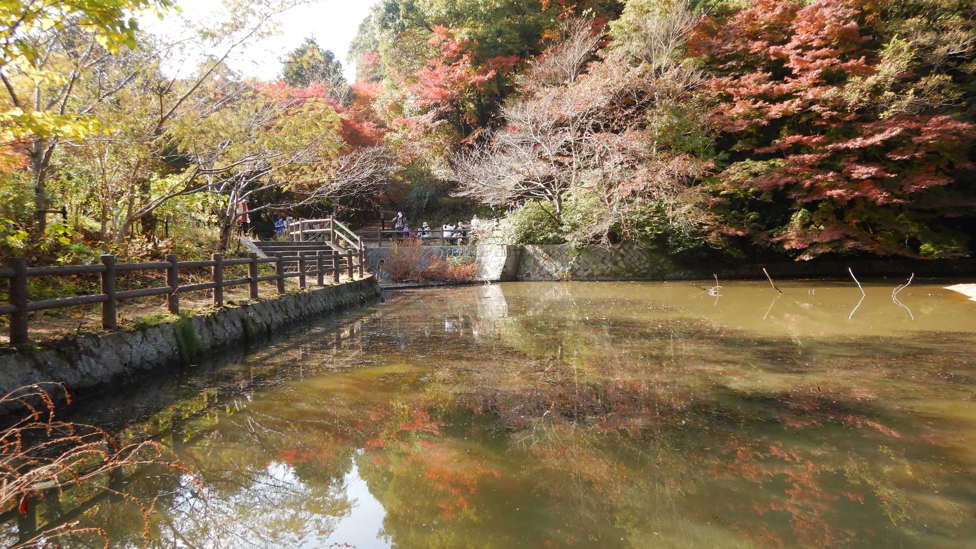 猩々池に到着