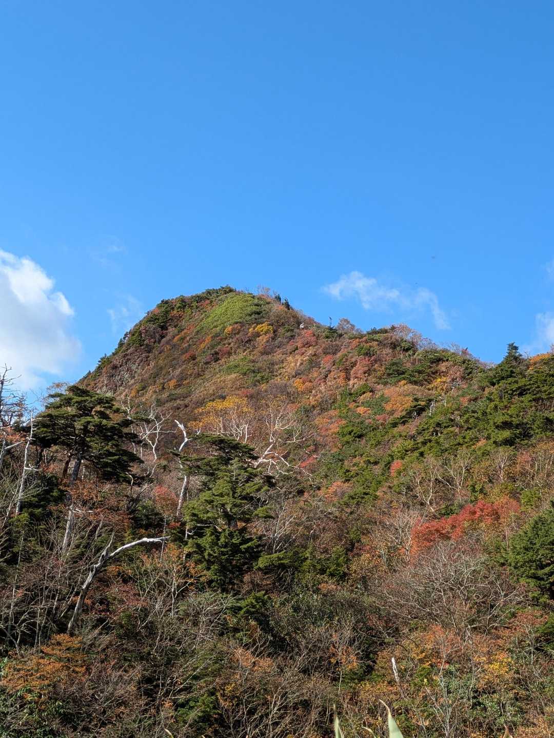 振り返れば　すんばらしい天気と紅葉🍁
この3連休　台風🌀心配していたが
感無量の山日和
