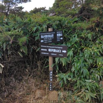 笹平分岐に！