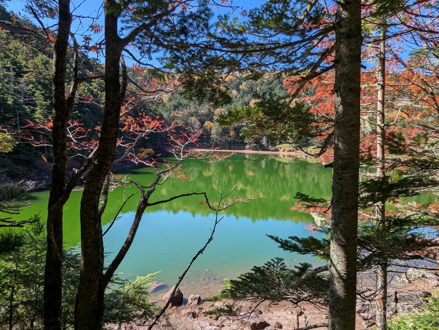 大河原峠-双子山 周回コースの写真