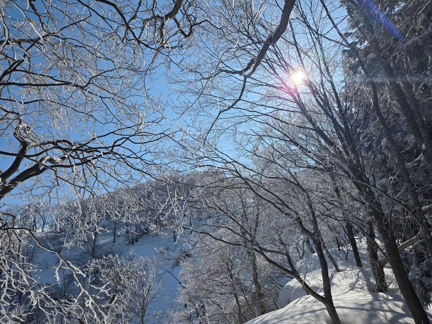 てくてく🚶