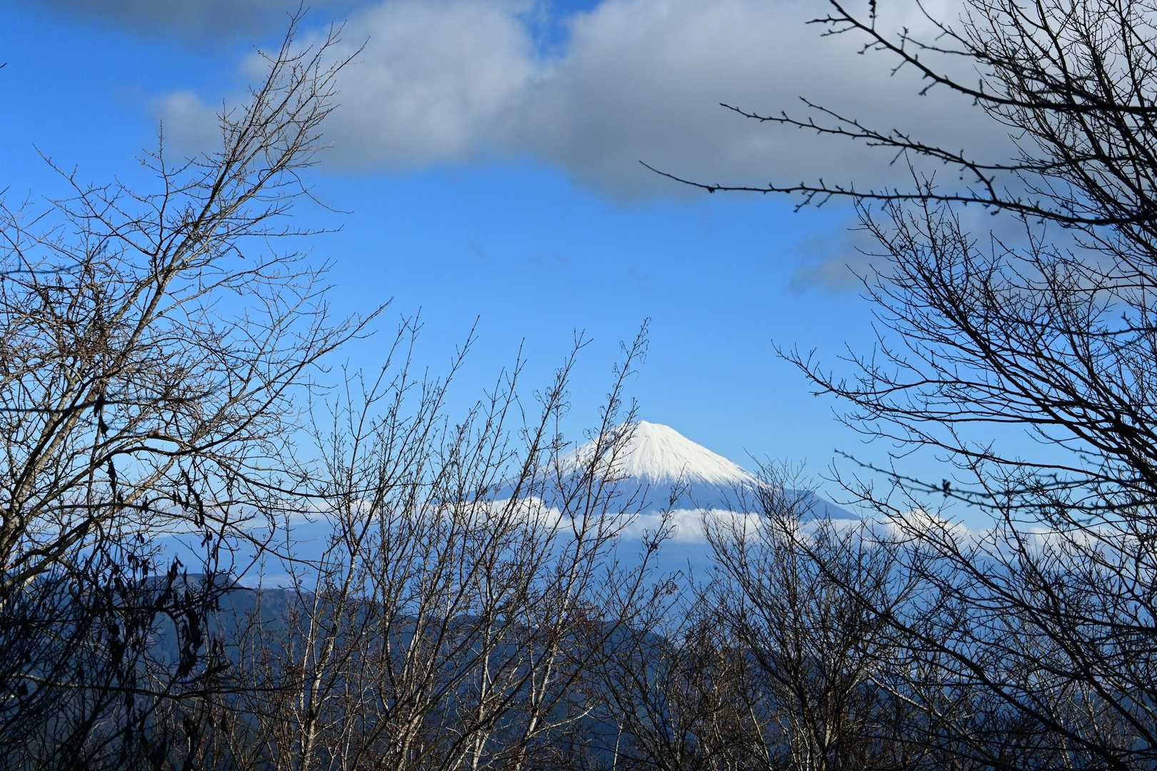 きれいに富士山見えてる🗻