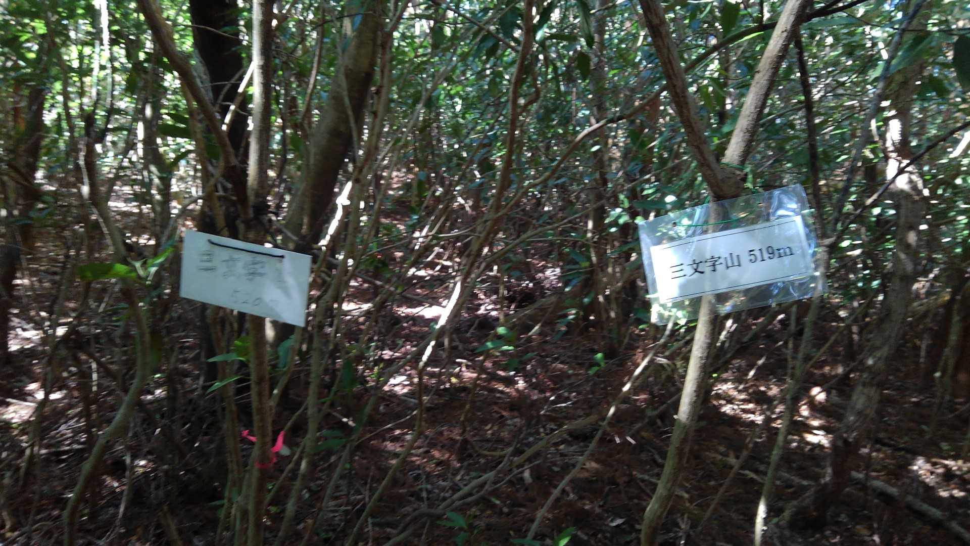 山頂到着