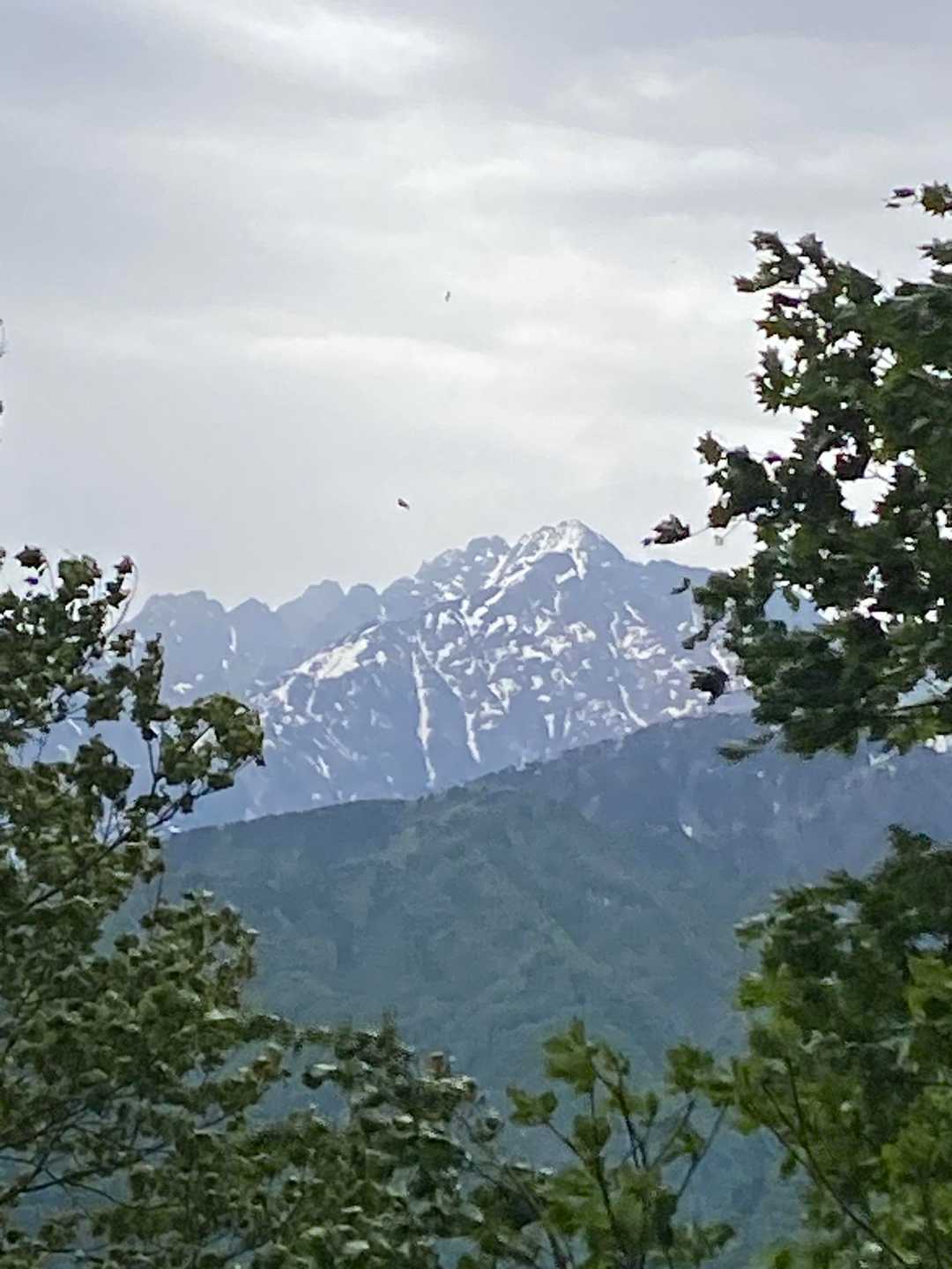 剱岳を眺めながら歩ける素敵な登山道💓