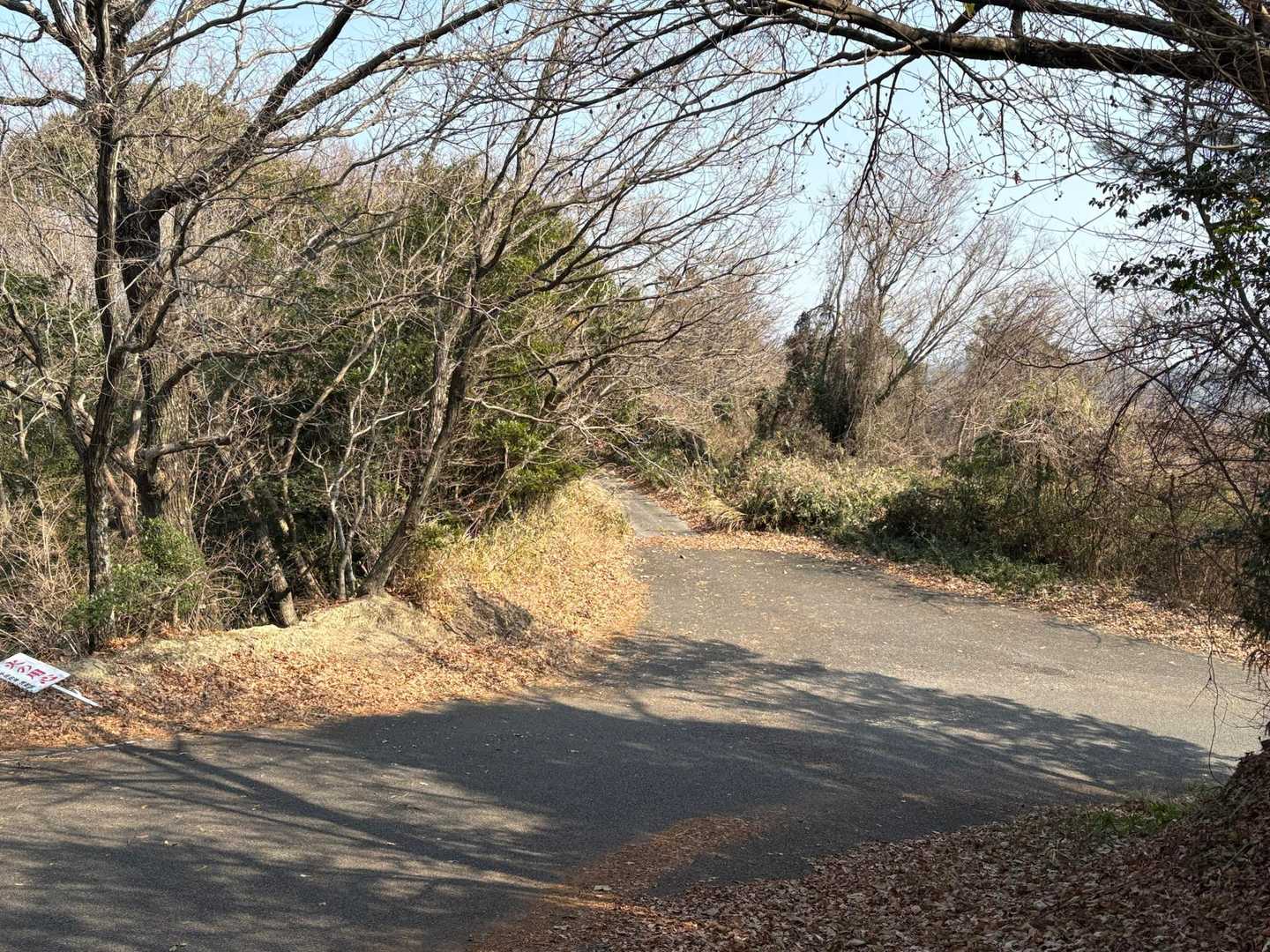 ベツソ山への取り付き