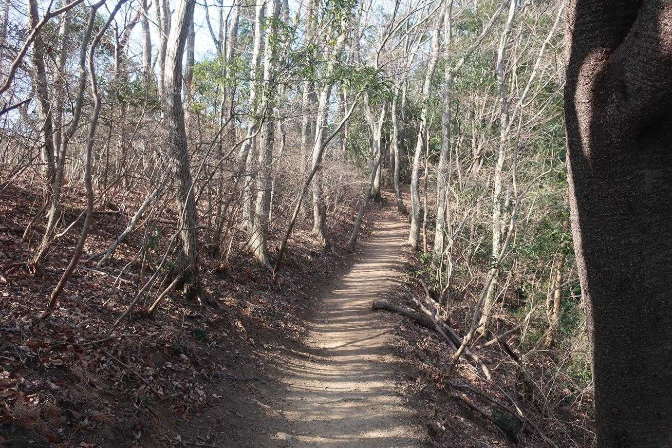 良き道。