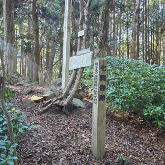 第11経塚に向かいました。