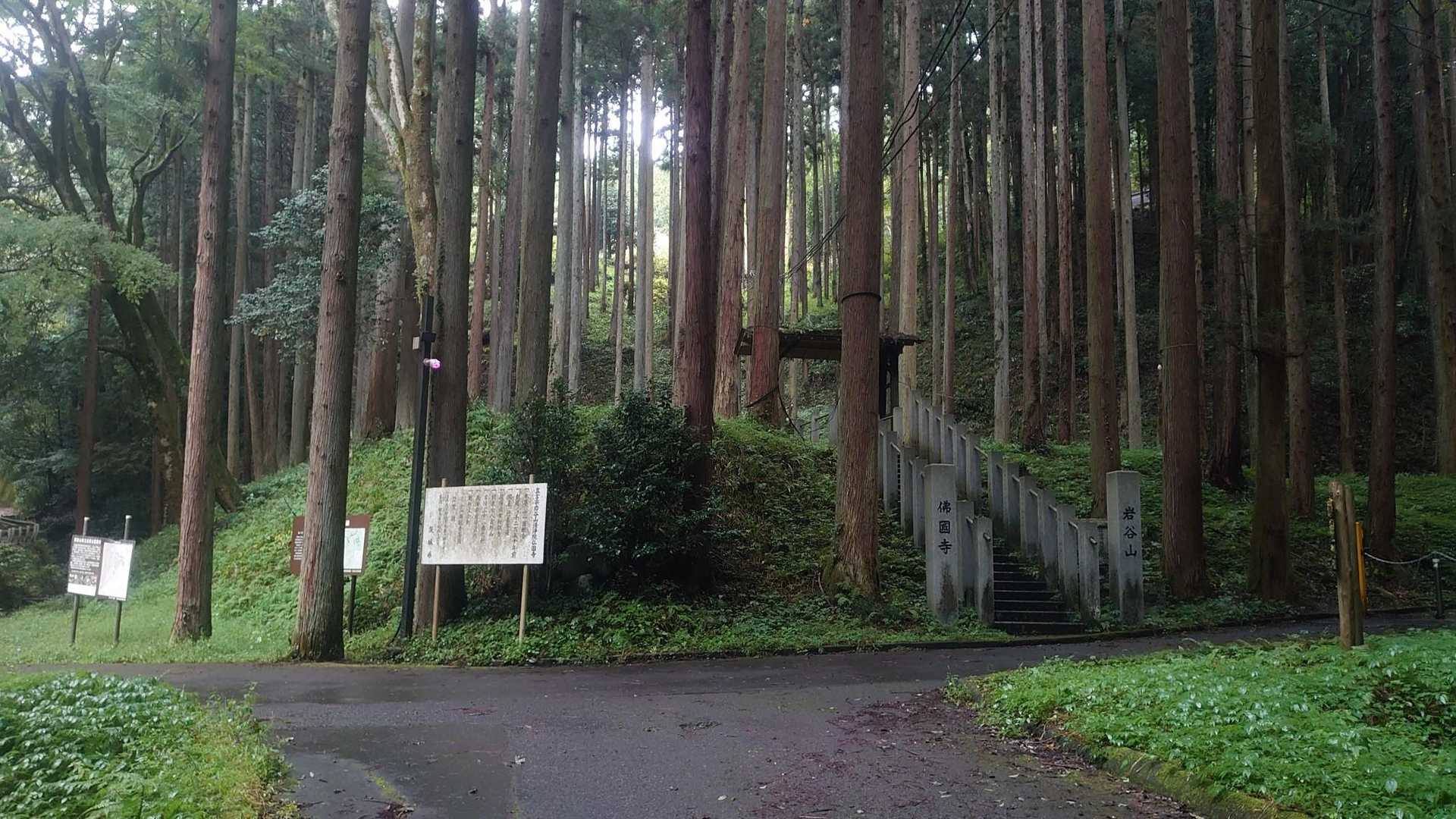 仏国寺-高取山 往復コースの写真