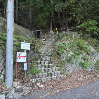 裏道1合目に戻ったのでYAMAPはここでゴール❗️
引き続き駐車場に向かいます