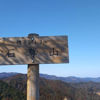 ここも好き🩷👍
展望良し
スカイツリーも見えた