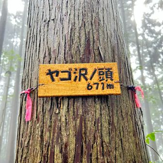 今回のキャンペーンテーマは

ピークを意識することなく

