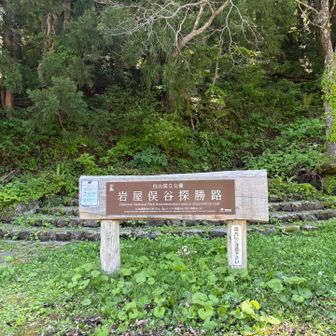孫は歩き足りなさそうだったので、岩屋俣谷探勝路から白山パノラマ展望台まで