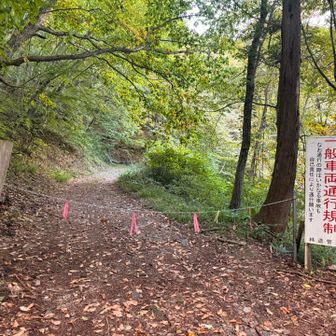 武尊神社から先は、一般車両は通れないようになっていたので、その先の駐車場も使えない