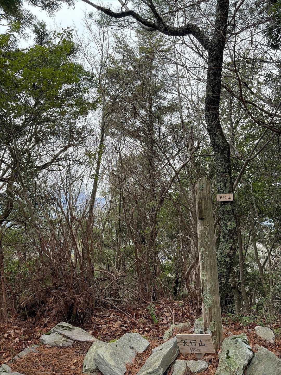 到着