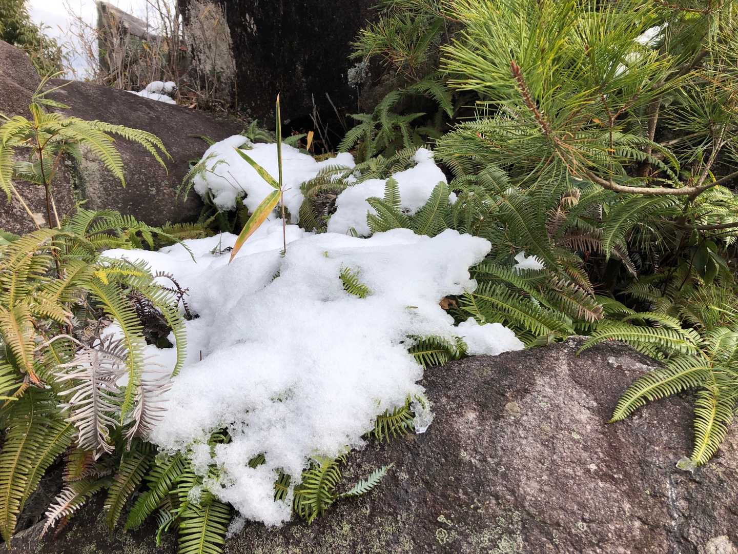 所々に雪あり