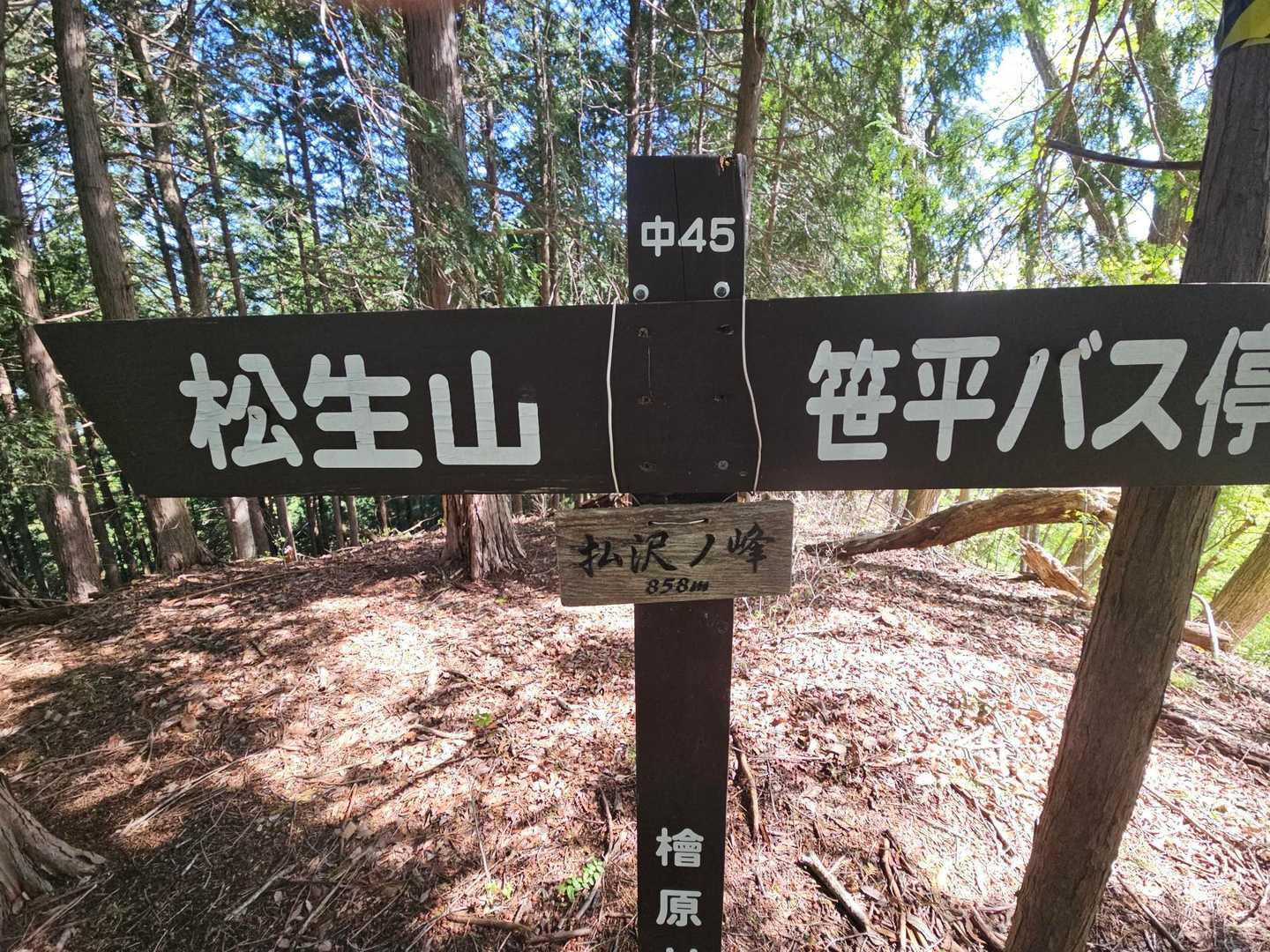 仲の平バス停-御林山-数馬峠-内台山-人里峠-浅間嶺-天領 縦走コースの写真