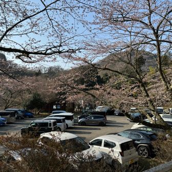 地蔵堂駐車場に車を停めて🚗🅿️

気がつけば次々と車が入ってきて😳
あっという間に満車寸前💦