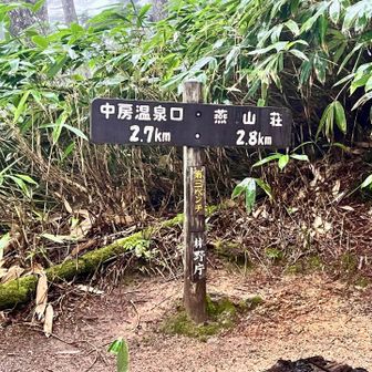 中間地点の第三ベンチ🪧雨が降り始めてきました☂️