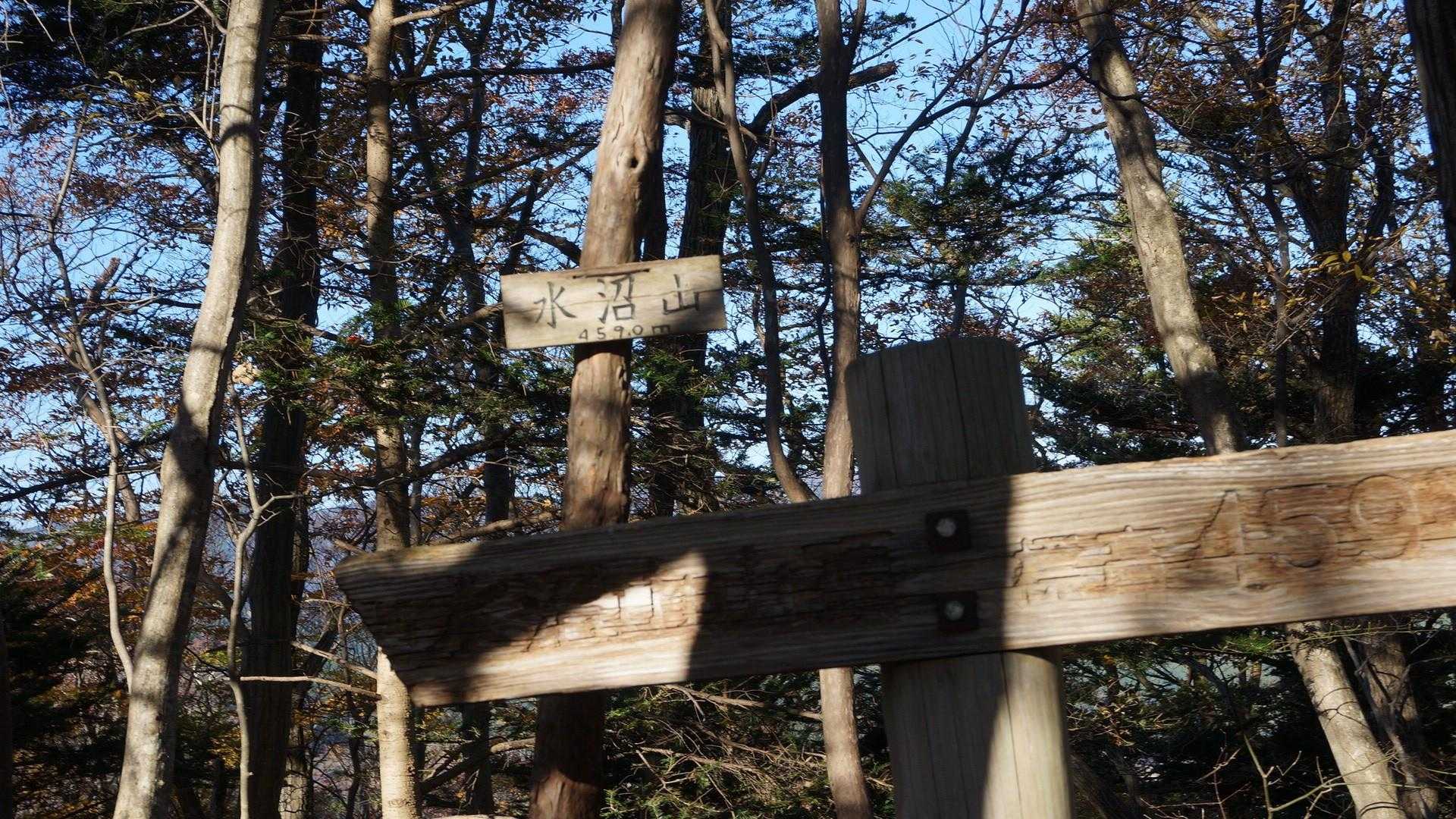 水沼山鷹巣山登山口-水沼山-鷹巣山 往復コースの写真