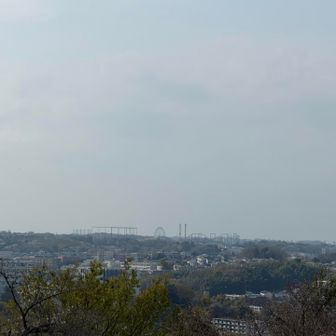 今日のゴール、よみうりランド付近も見える🤩