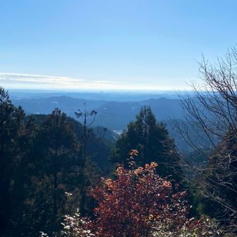 天覚山からの眺め✨