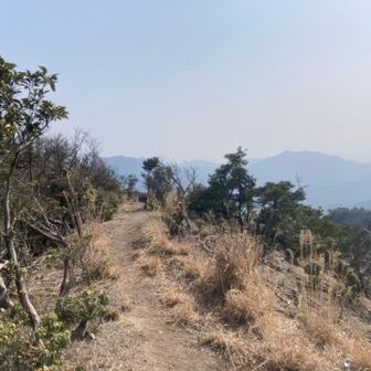 快適な稜線歩き✌️。