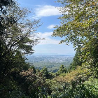 遠くにうっすら養老山地が見えました。