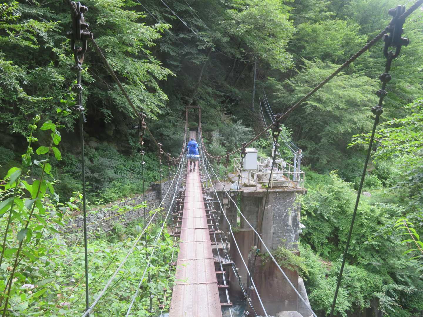 今度は吊り橋
この橋も見た目より怖くて、しかも結構高さがある。途中で沢を撮ろうかと思ったけど、無理だった💦😰